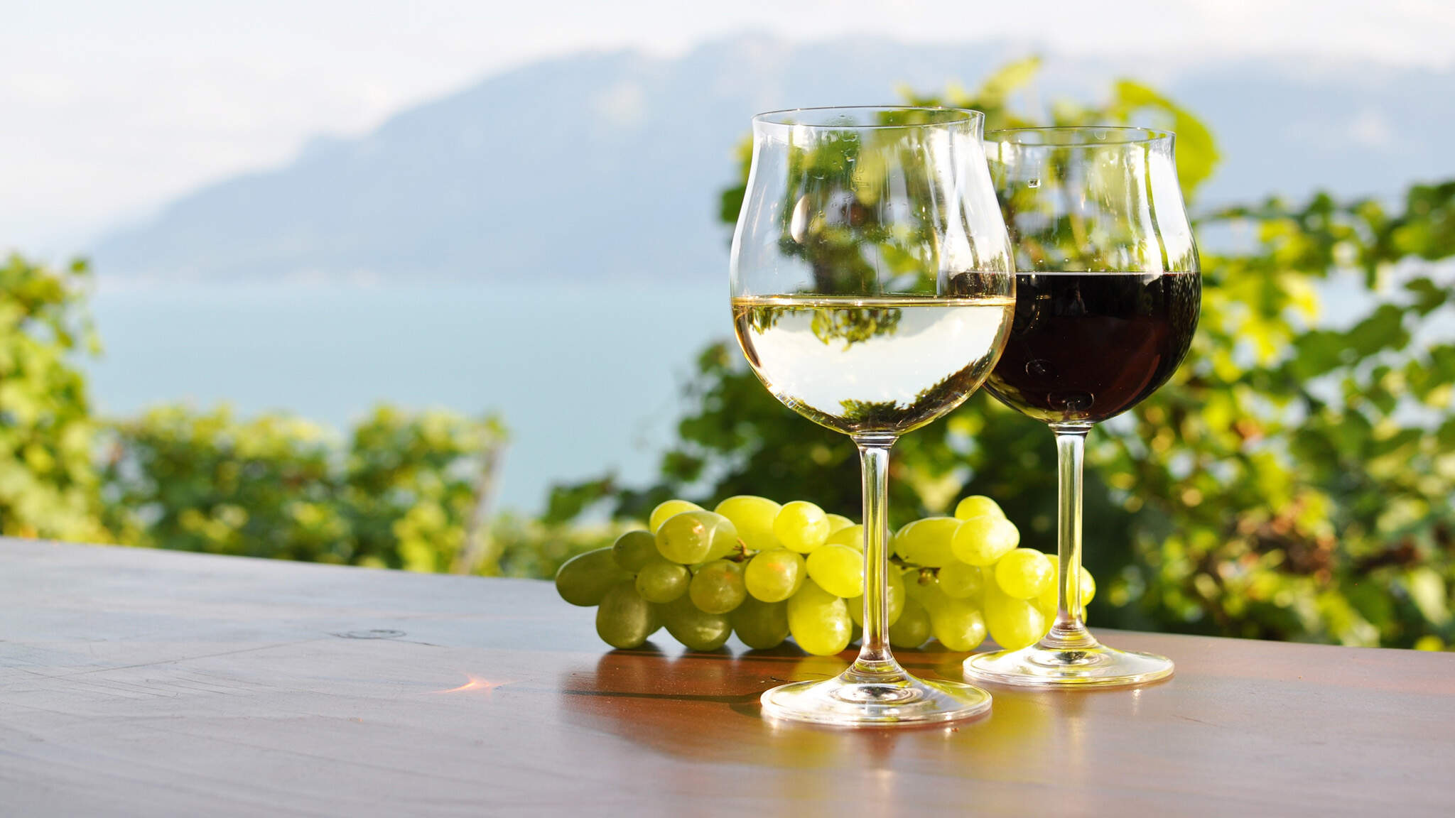 Mendoza wine region of Argentina